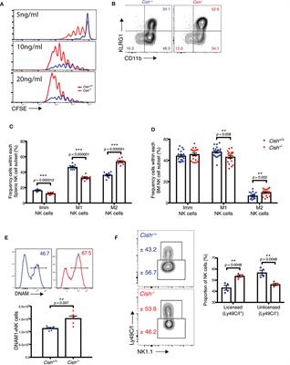 NK Cell Priming From Endogenous Homeostatic Signals Is Modulated by CIS